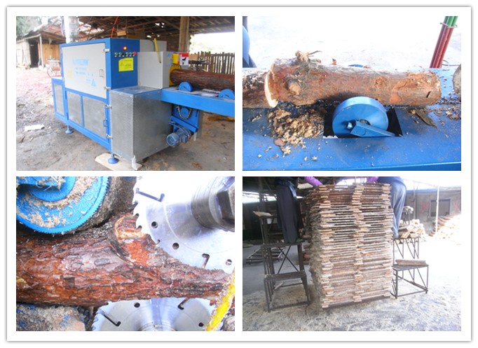 廣西玉屏--原木多片鋸