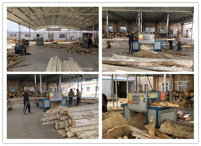 新疆哈密市--雙排鏈原木多片鋸、方木多片鋸、清邊機加工楊木現場