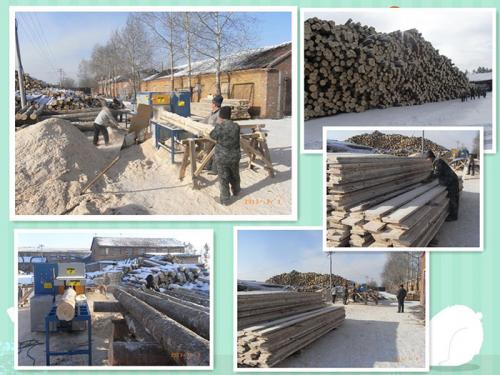產(chǎn)品名稱：黑龍江伊春新青區(qū)-鋸洛葉松-350原木多片鋸-加工現(xiàn)場