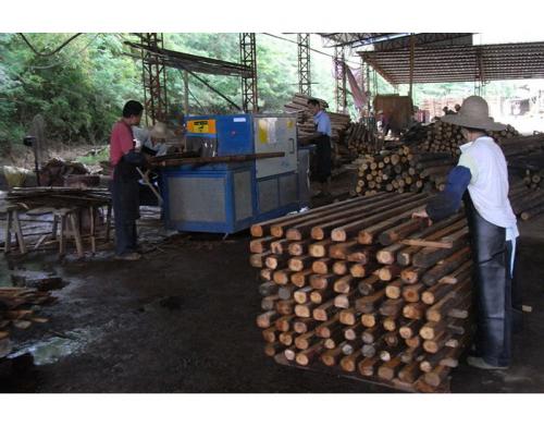 廣東-梅州-250圓木多片鋸加工現(xiàn)場(chǎng)