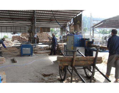廣東-中山市-圓木多片鋸加工現場1