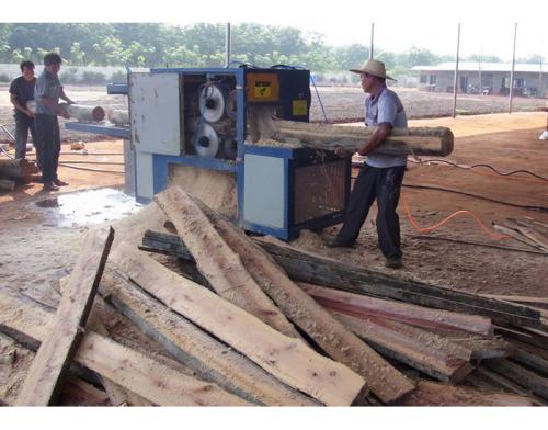 海南島-圓木多片鋸25加工現場
