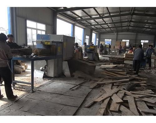 江蘇省-淮安市-楚洲區(qū)-鋸35圓木加工現(xiàn)場(chǎng)0