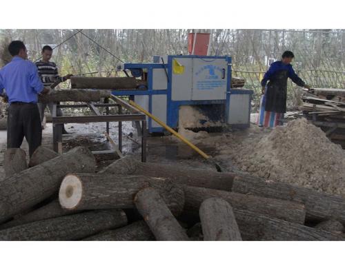 圓木多片鋸-安徽合肥舒城加工現場