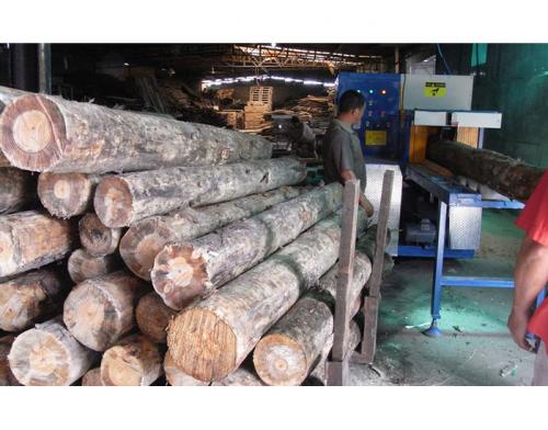 浙江省寧波市北侖區-圓木350機加工現場0